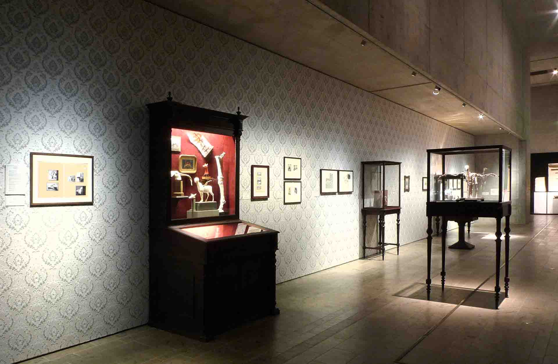 GIGLER holz-design: event & ausstellung | Staatliches Museum Ägyptischer Kunst